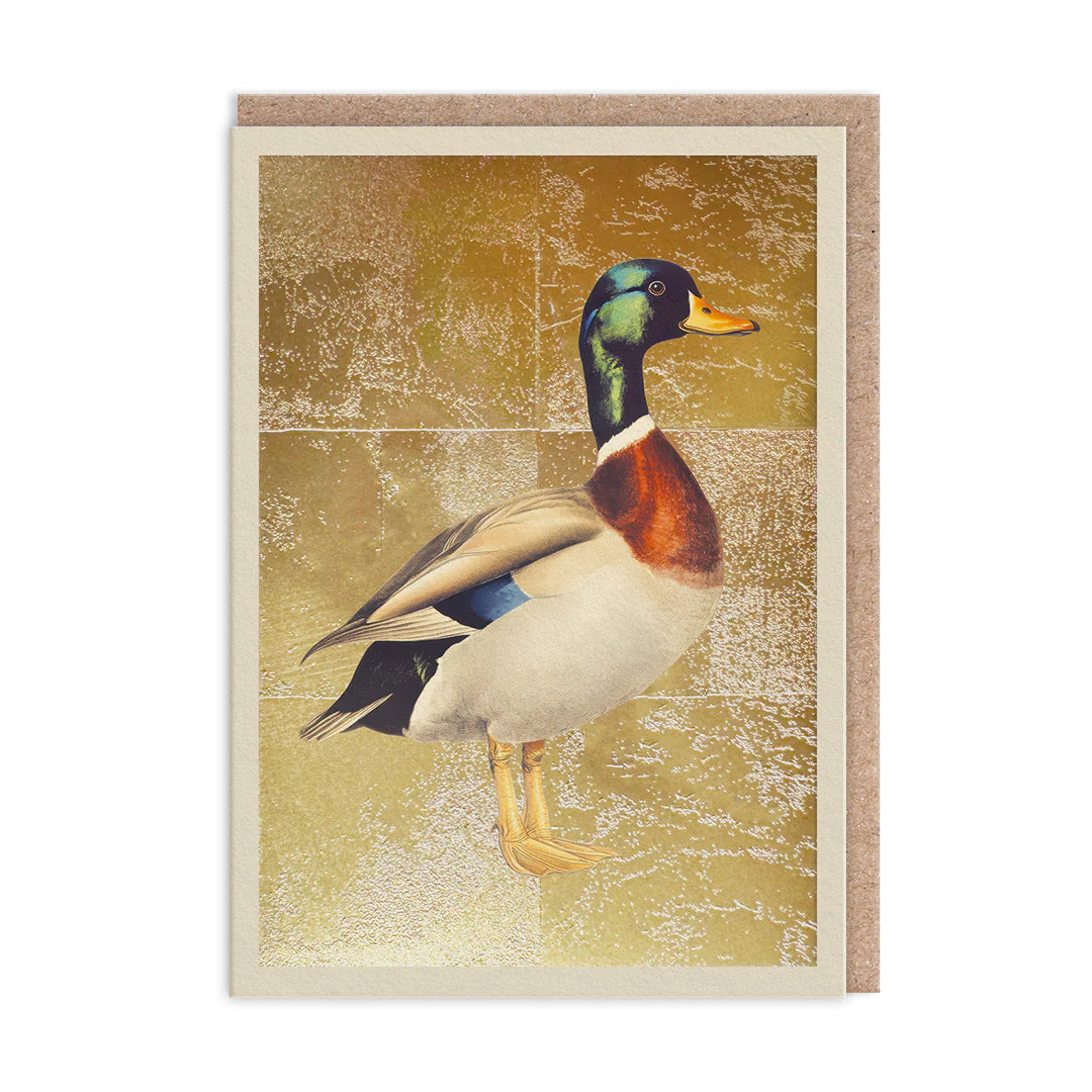 Golden Mallard Greeting Card