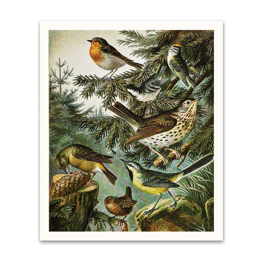Woodland Hymn Bird Print