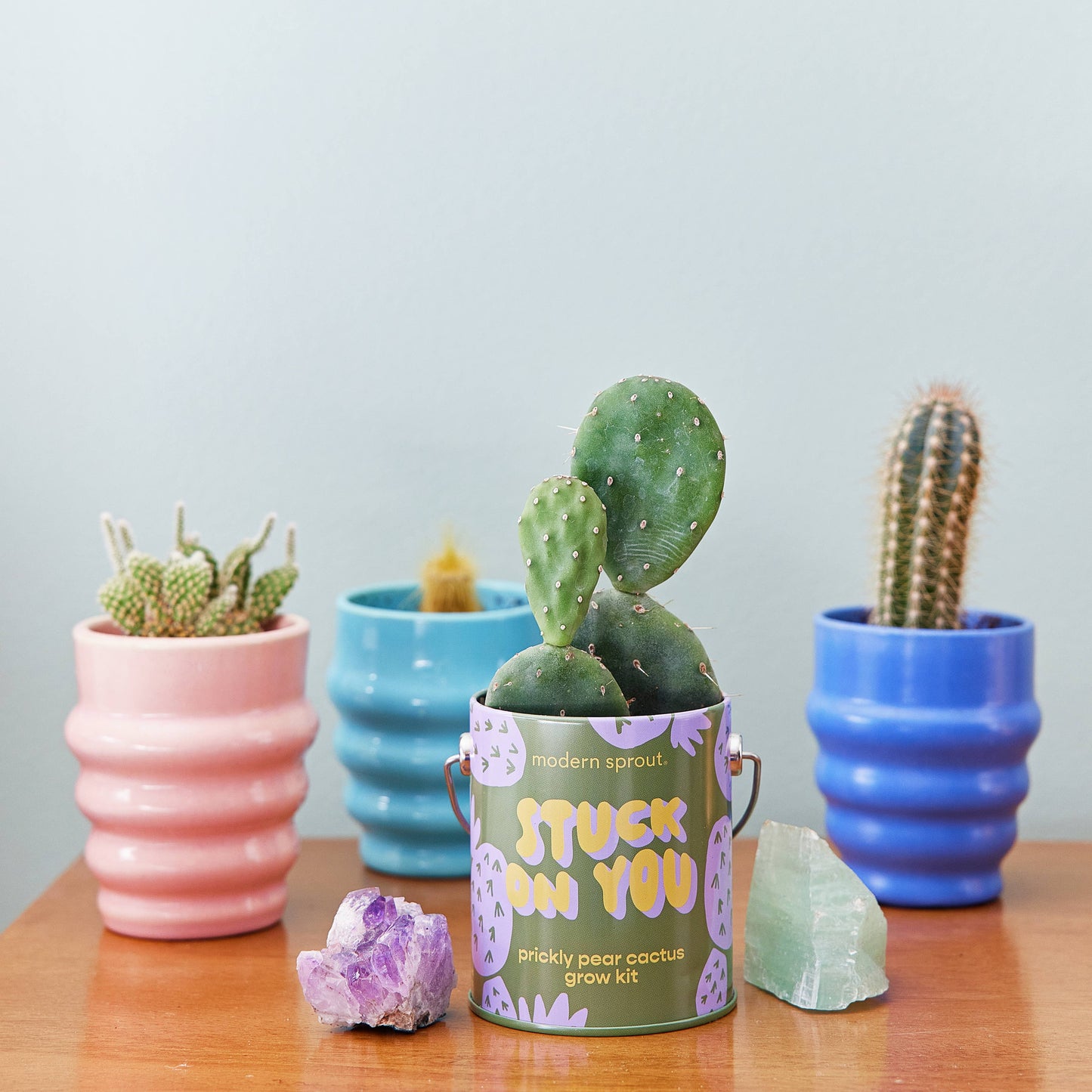 Rooted in Joy Grow Kits