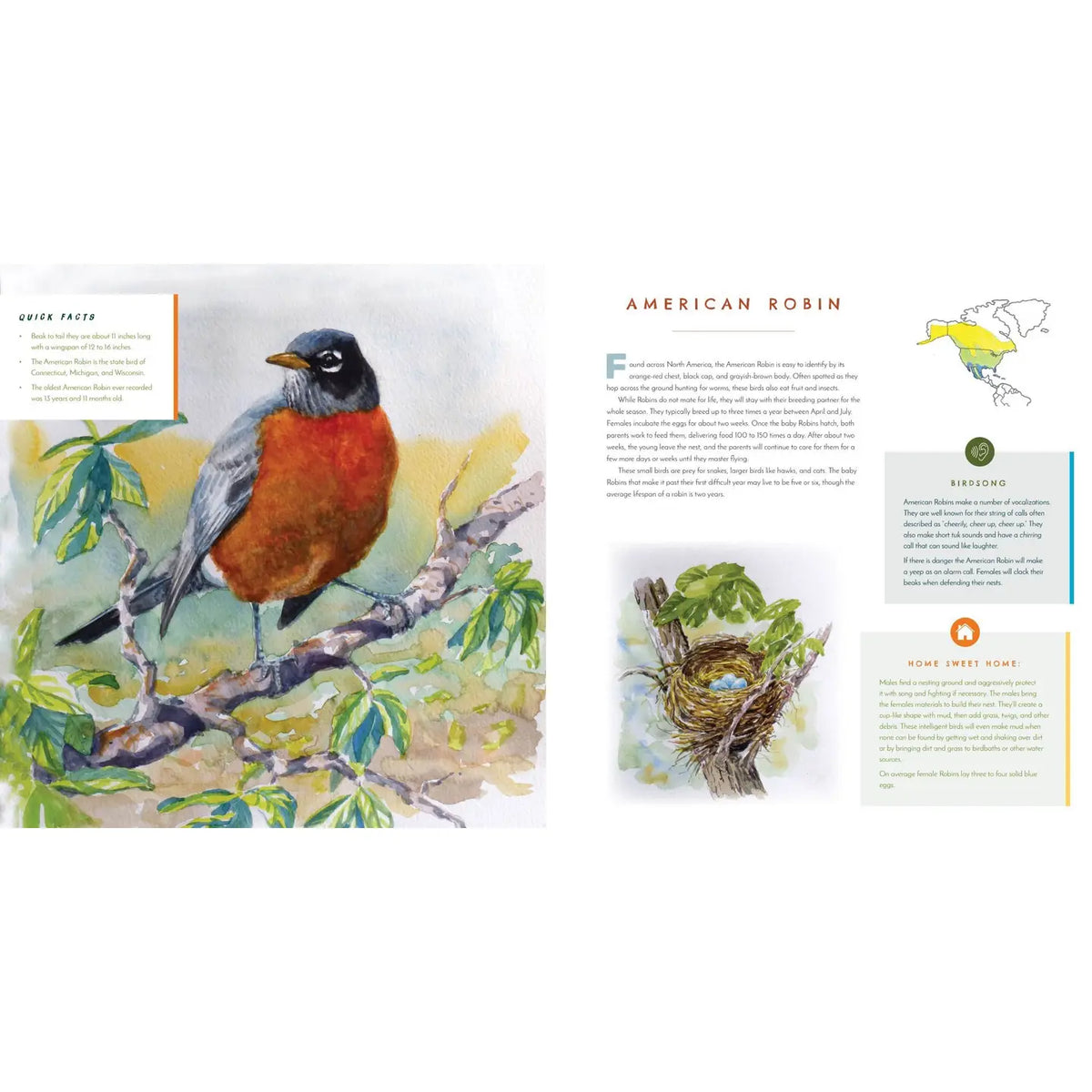 Inside Hear Them Sing bird sound book showing watercolor illustration of an American Robin, bird facts, nesting information and bird song details