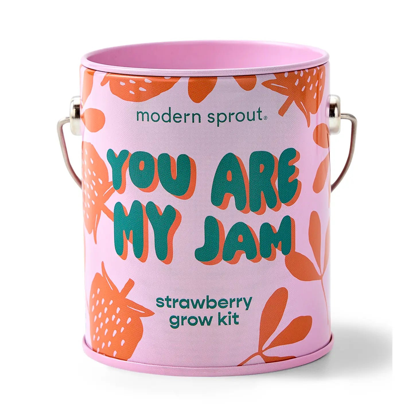 Rooted in Joy Grow Kits