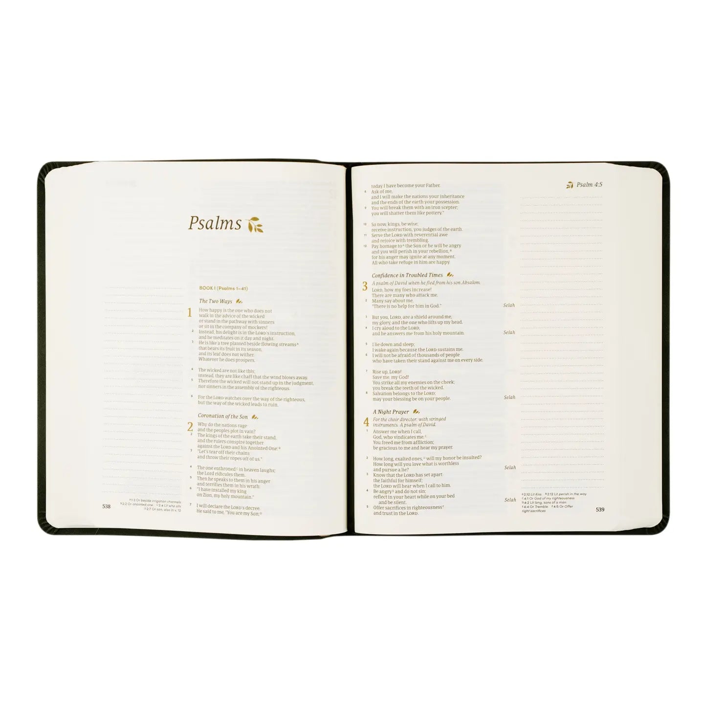 Jerusalem Csb Notetaking Bible