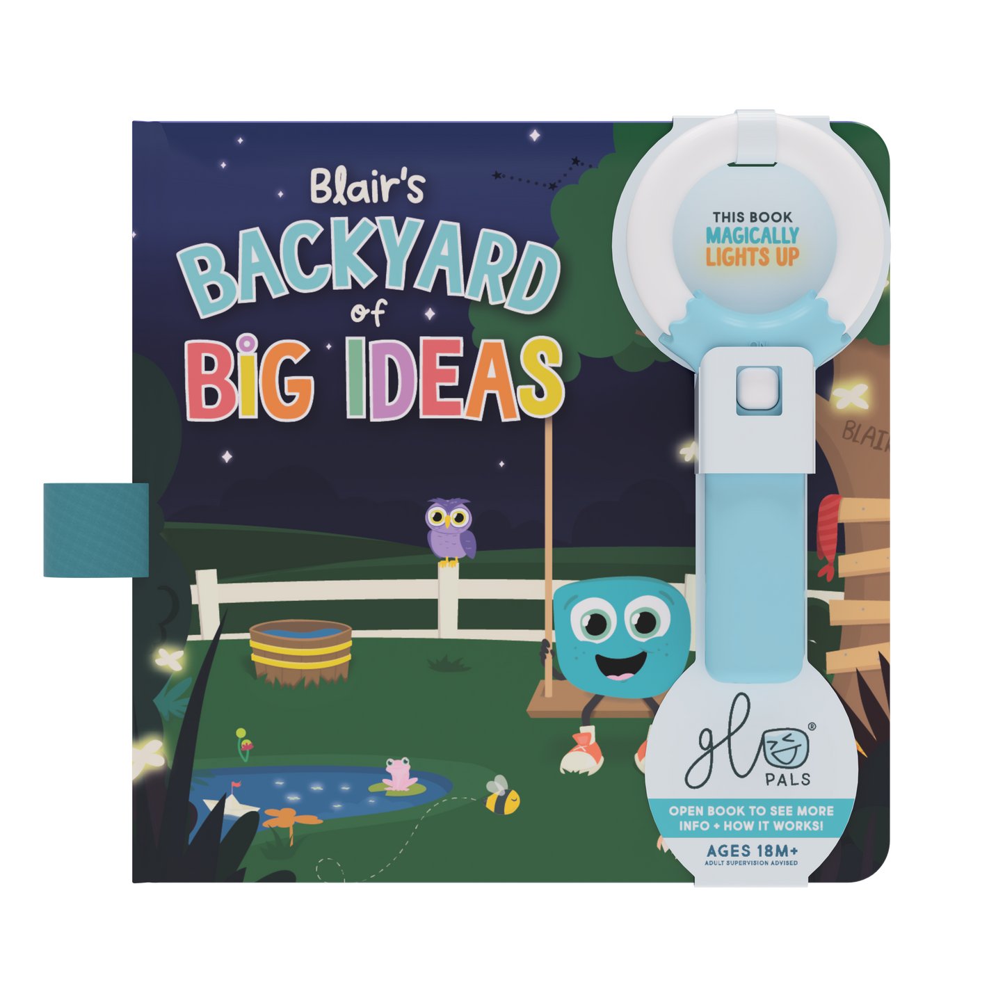 Blair's Backyard of Big Ideas
