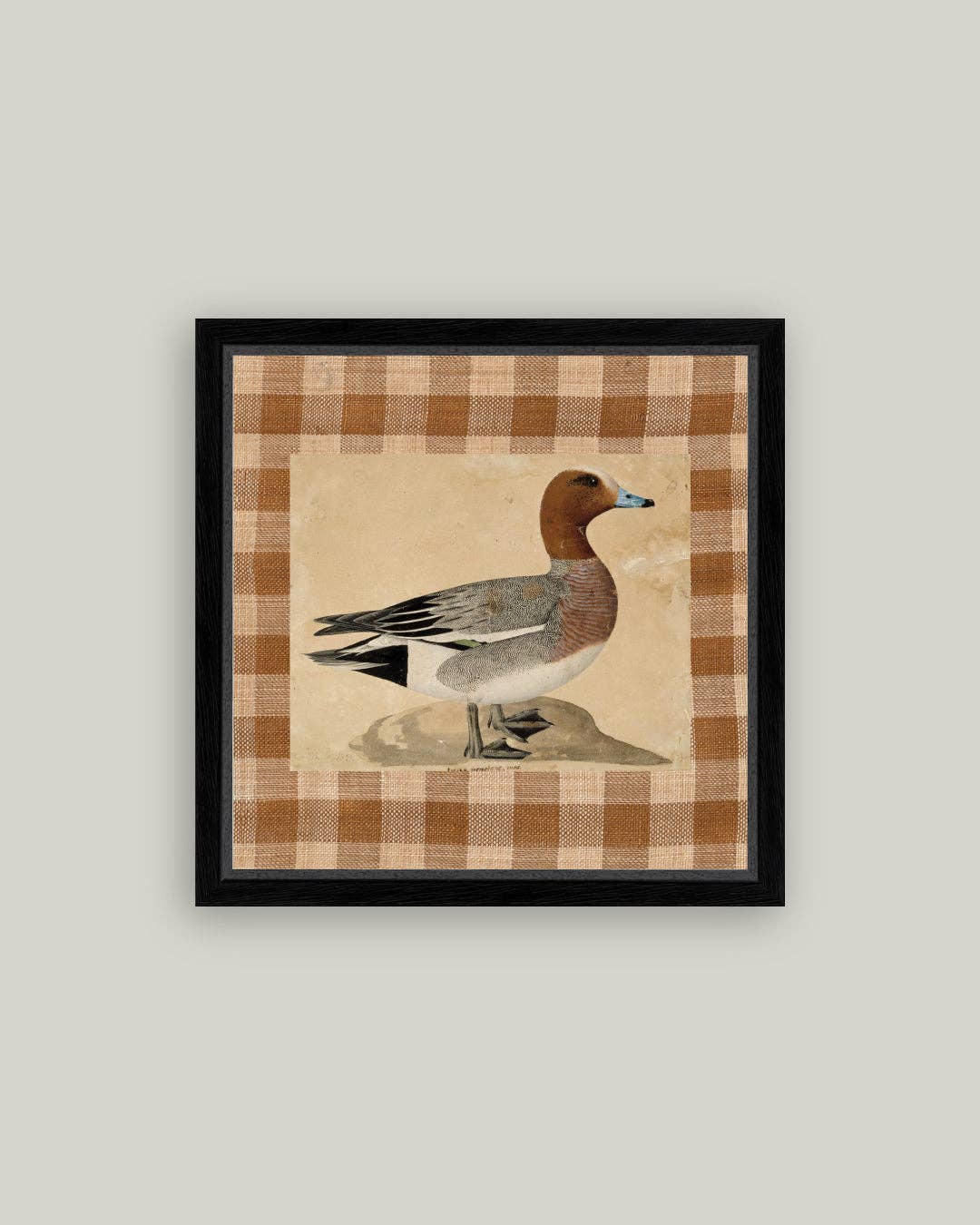 Eurasian Wigeon Framed Antique Art: 5x5