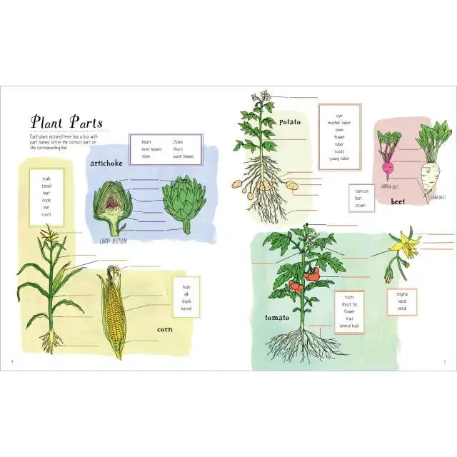 Farm Anatomy Activity Book