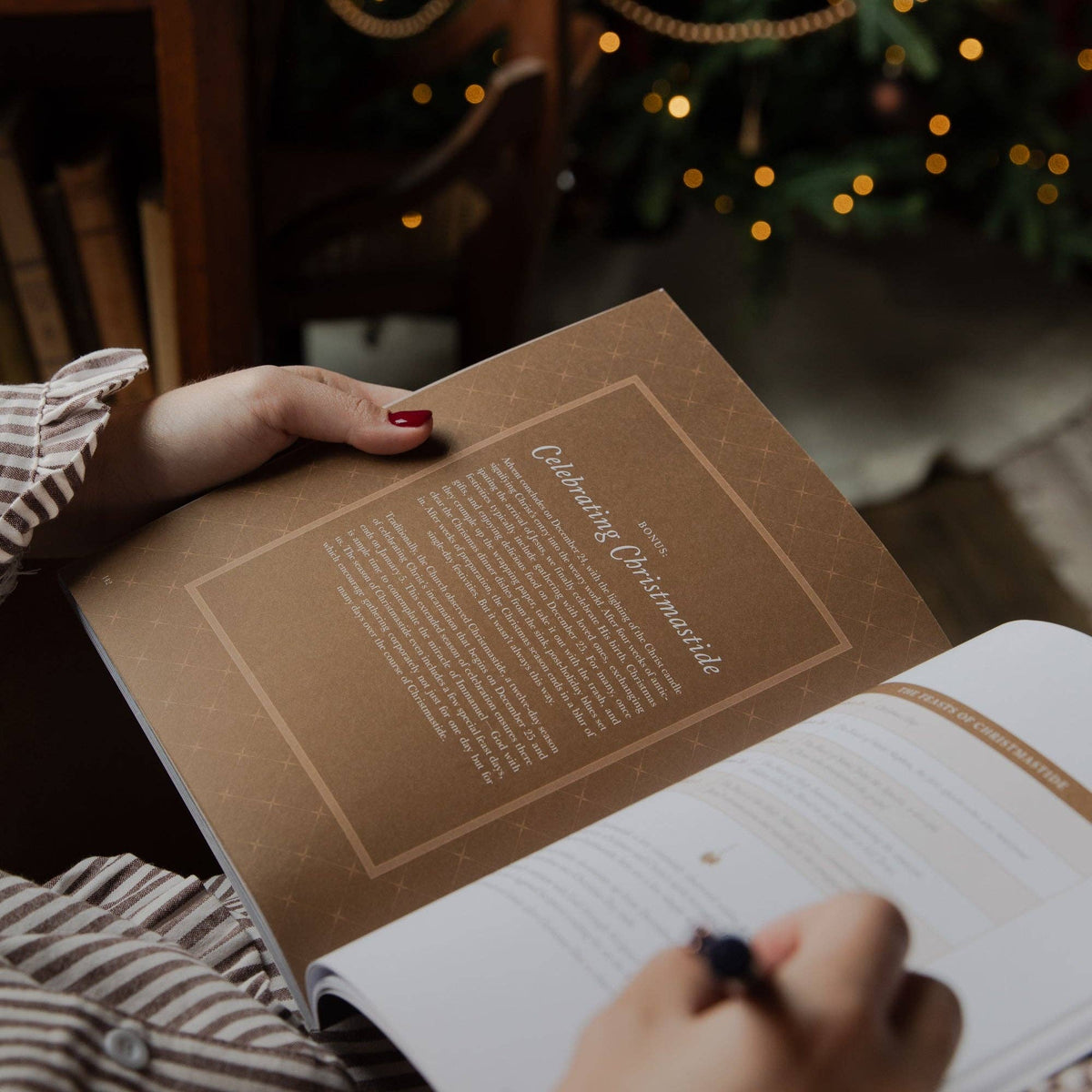 Joy of Every Longing Heart | 2026 Advent Bible Study | The Daily Grace Co.