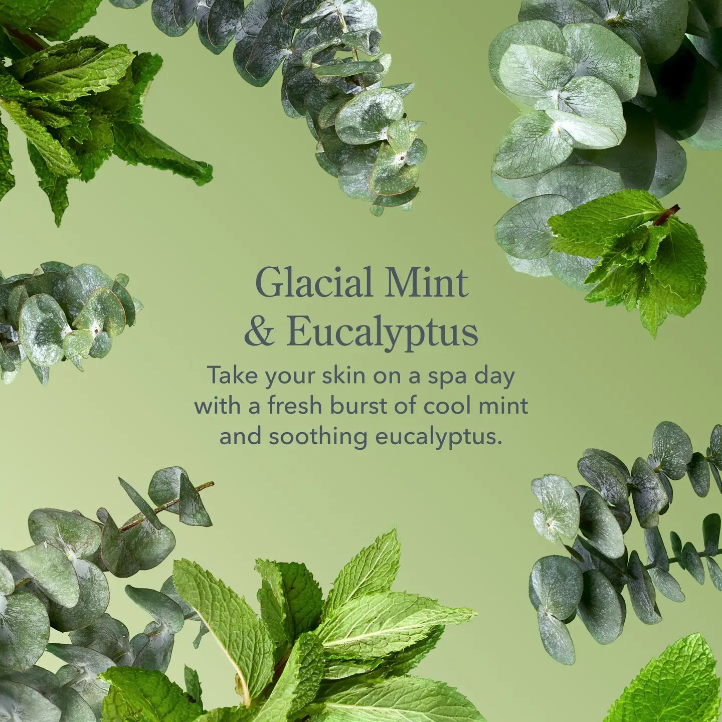 Glacial Mint Bar Soap