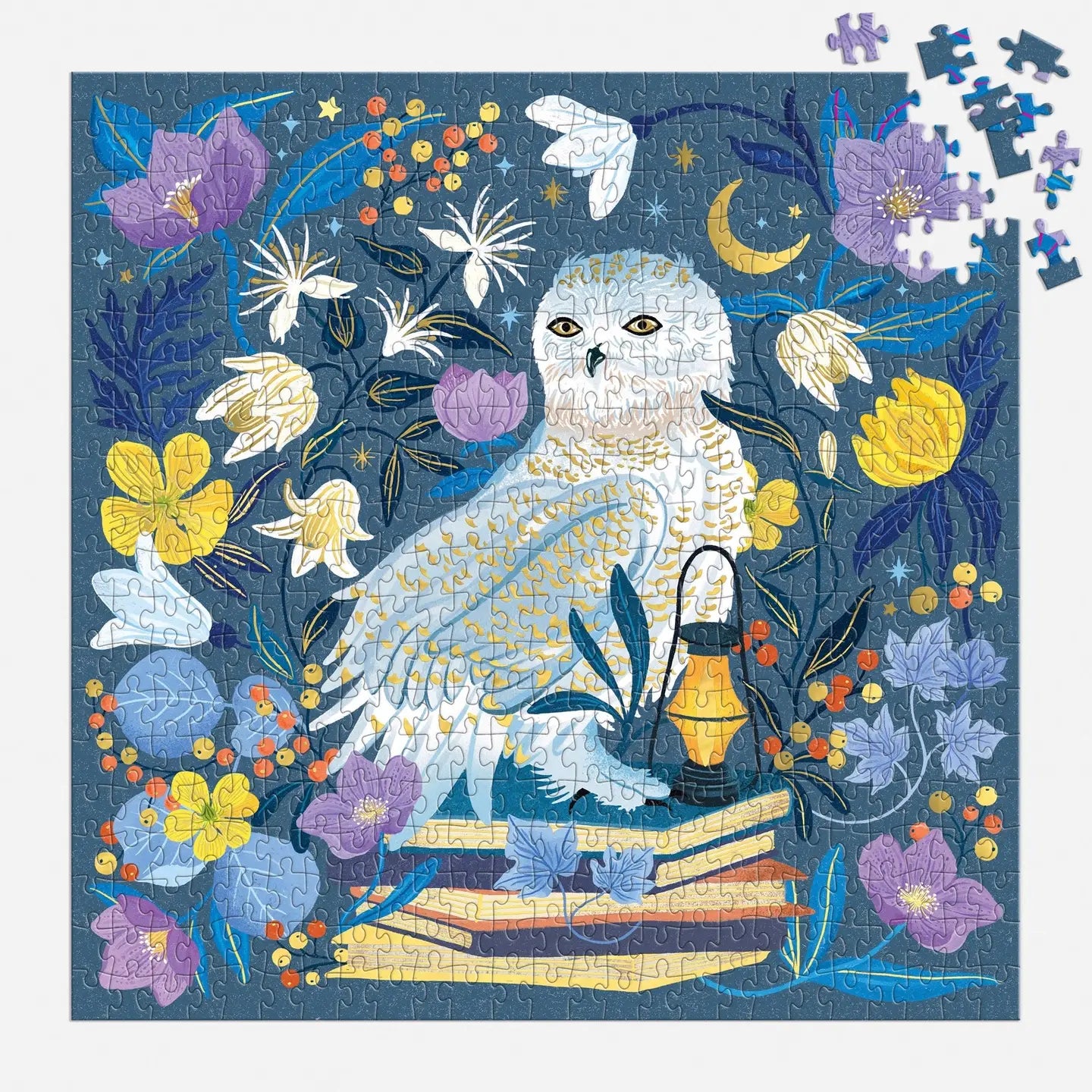 Beautiful Owl Puzzle