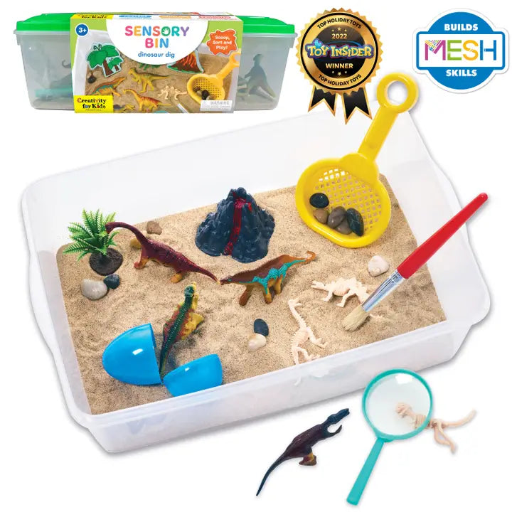 Sensory Bin for Kids