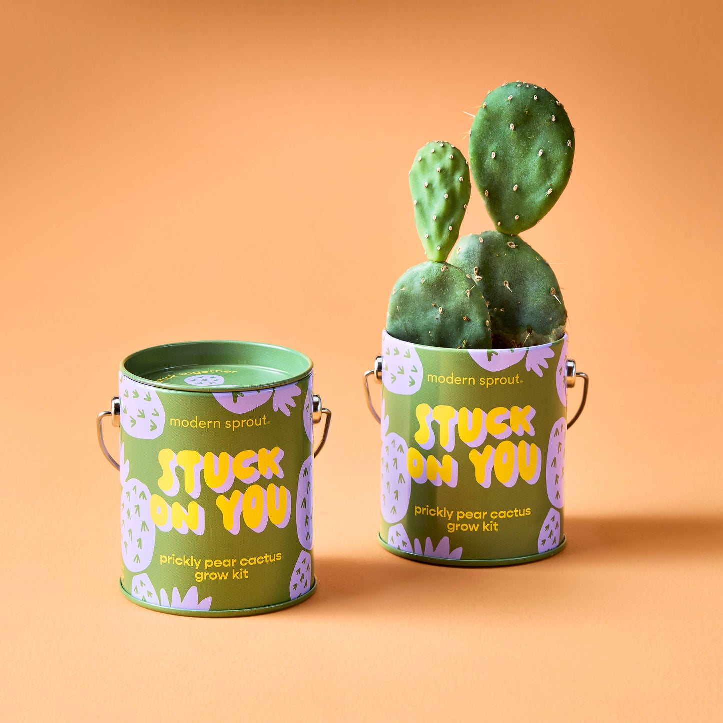 Rooted in Joy Grow Kits