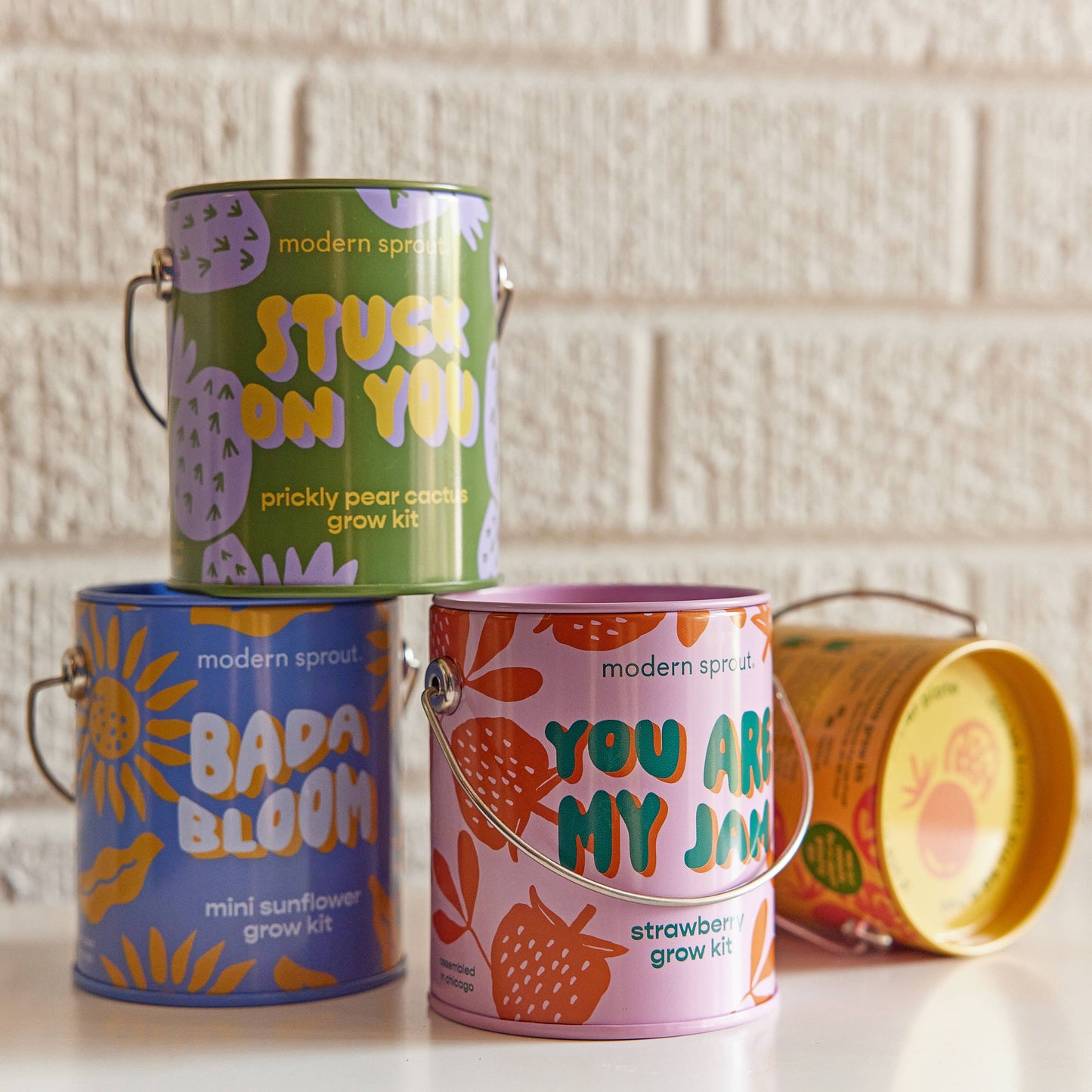 Rooted in Joy Grow Kits