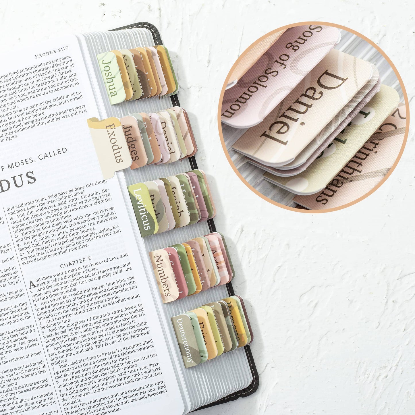 Laminated Bible Tabs
