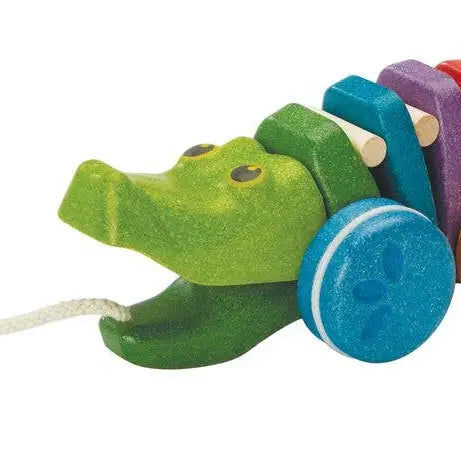 Rainbow Dancing Alligator