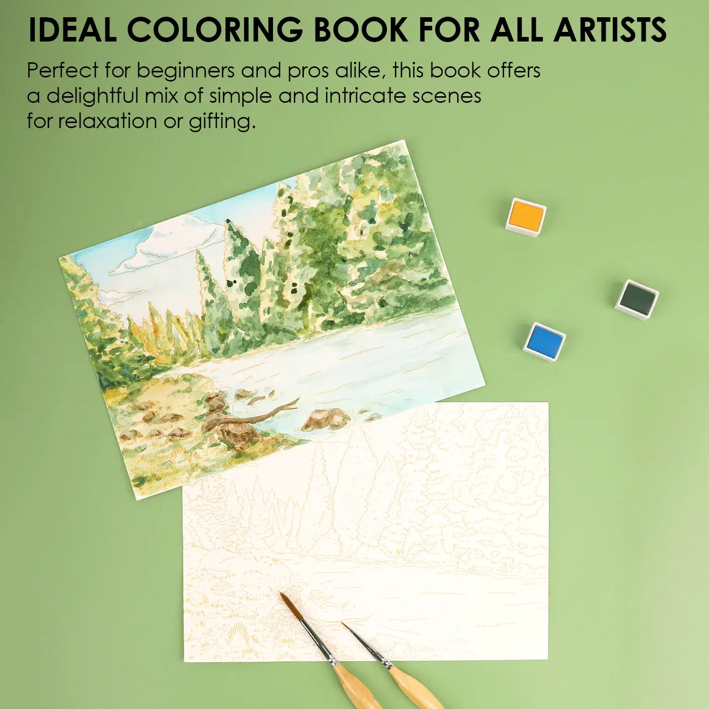 Forest Watercolor Coloring Book
