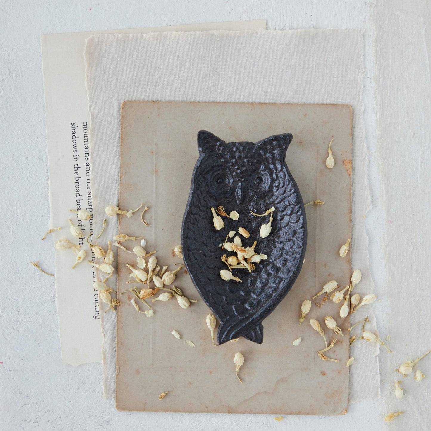 Cast Iron Owl Trinket Dish