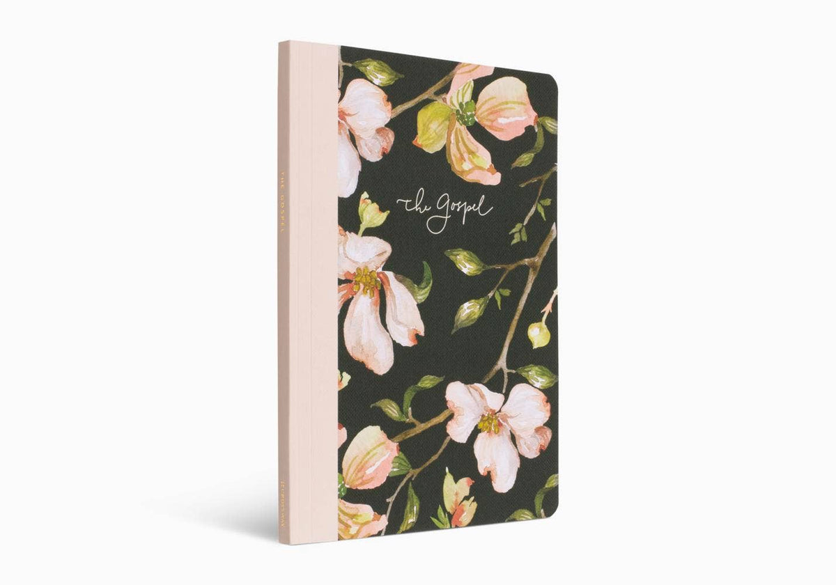 ESV Prayer Journal: 30 Days on the Gospel