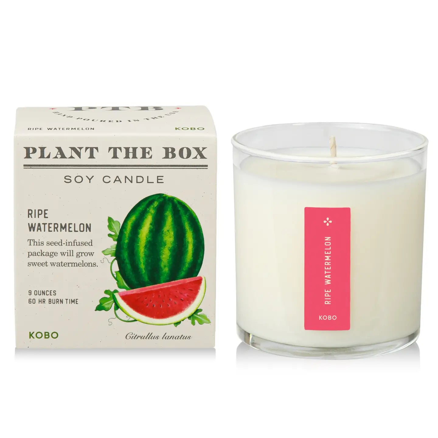 Plant & Grow Seed Candle – Ripe Watermelon