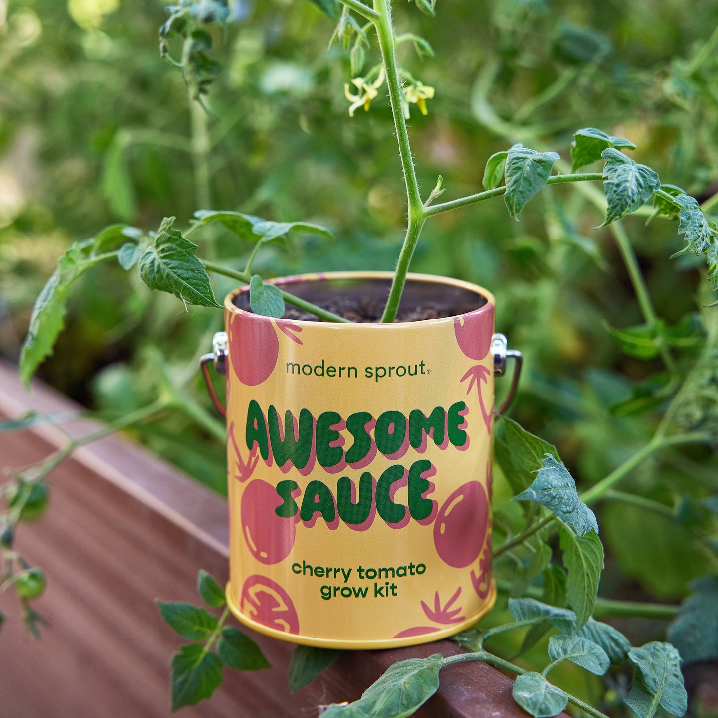 Rooted in Joy Grow Kits