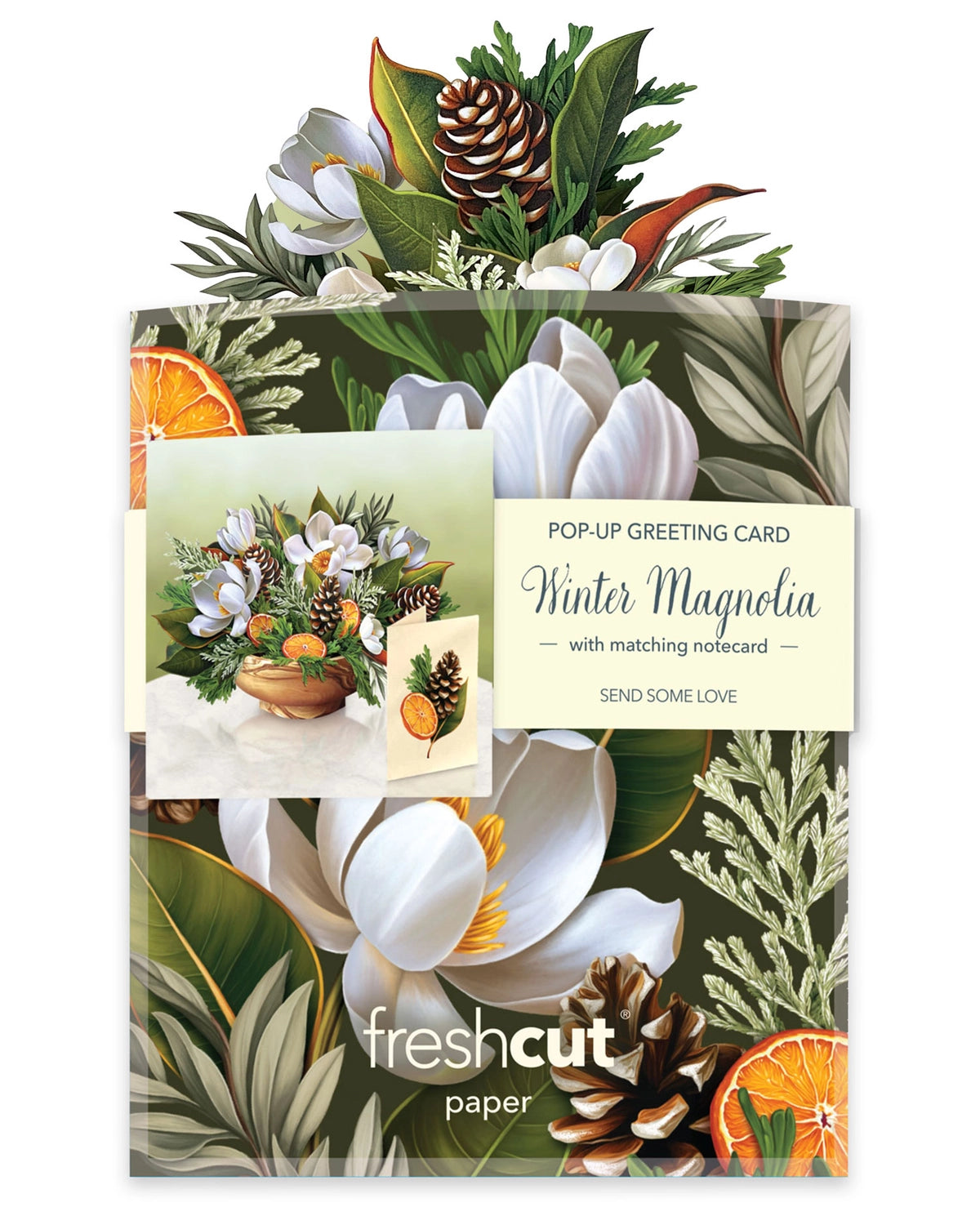 Winter Magnolia Greeting Card