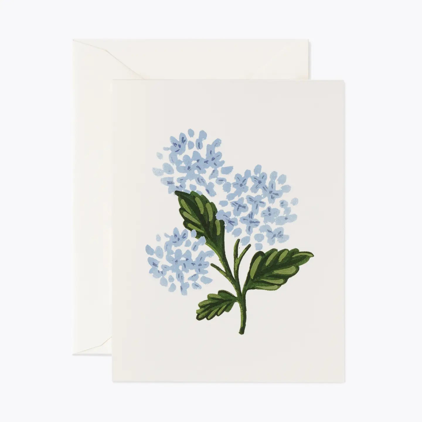 Beautifully Blank Greeting Cards