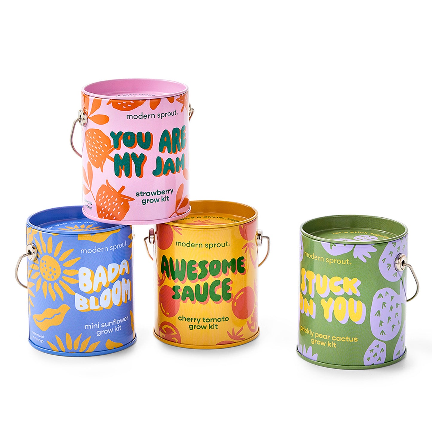 Rooted in Joy Grow Kits