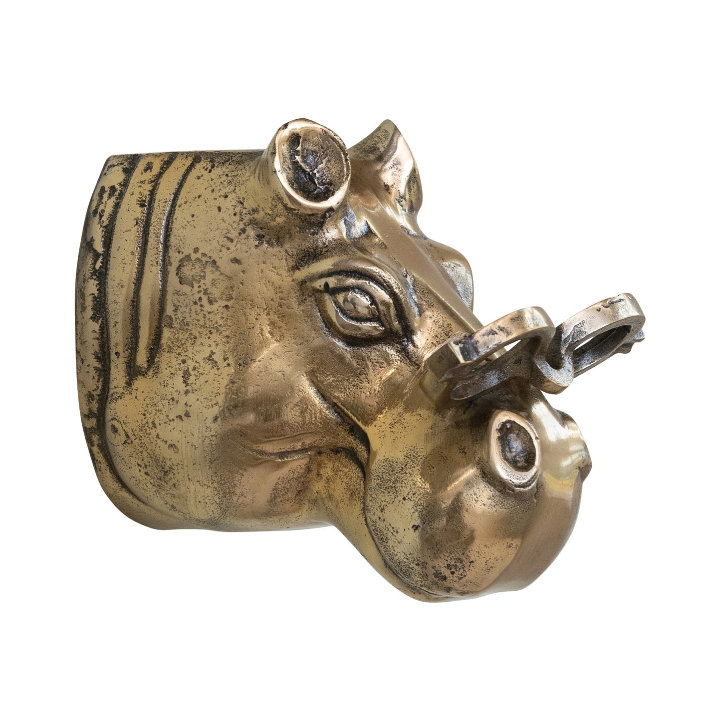 Professor Hippo Wall Decor