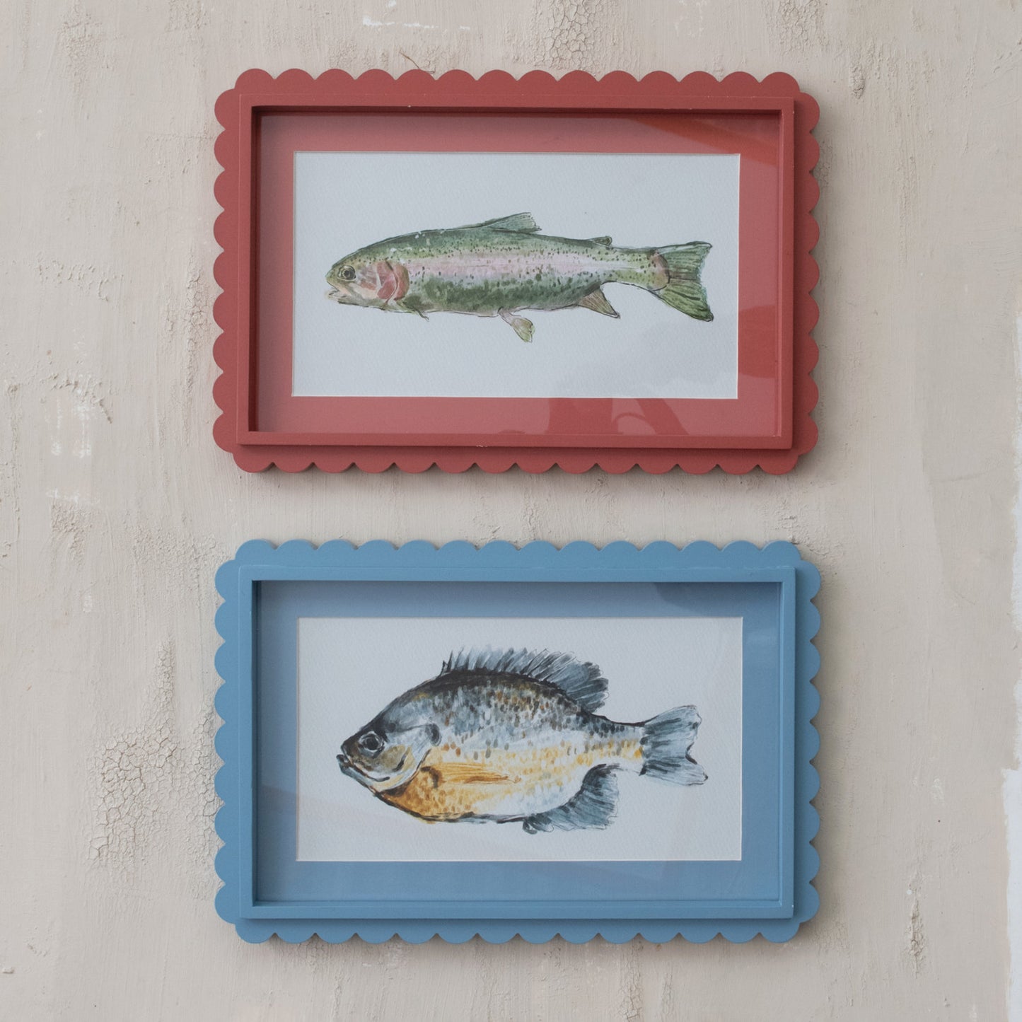 Scalloped Fish Study Wall Art