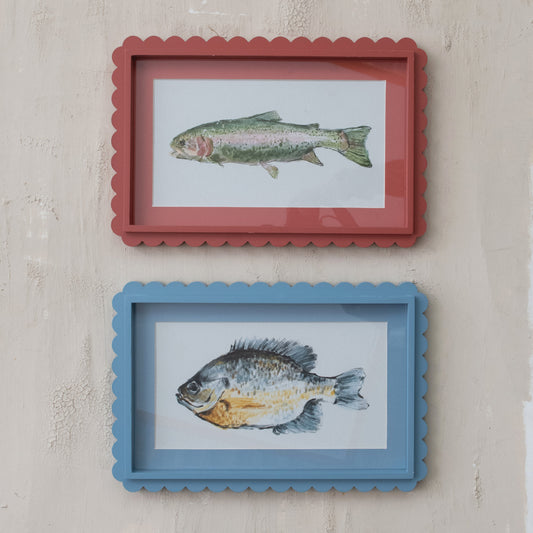 Scalloped Fish Study Wall Art