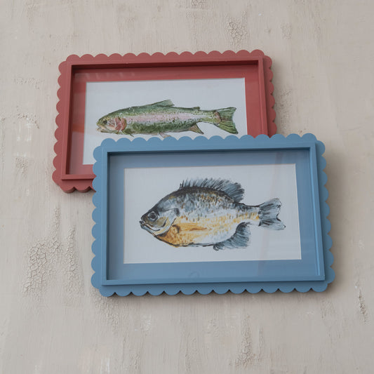 Scalloped Fish Study Wall Art