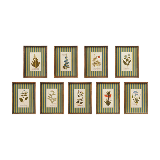 Nine vintage botanical framed prints with blue and green striped mats