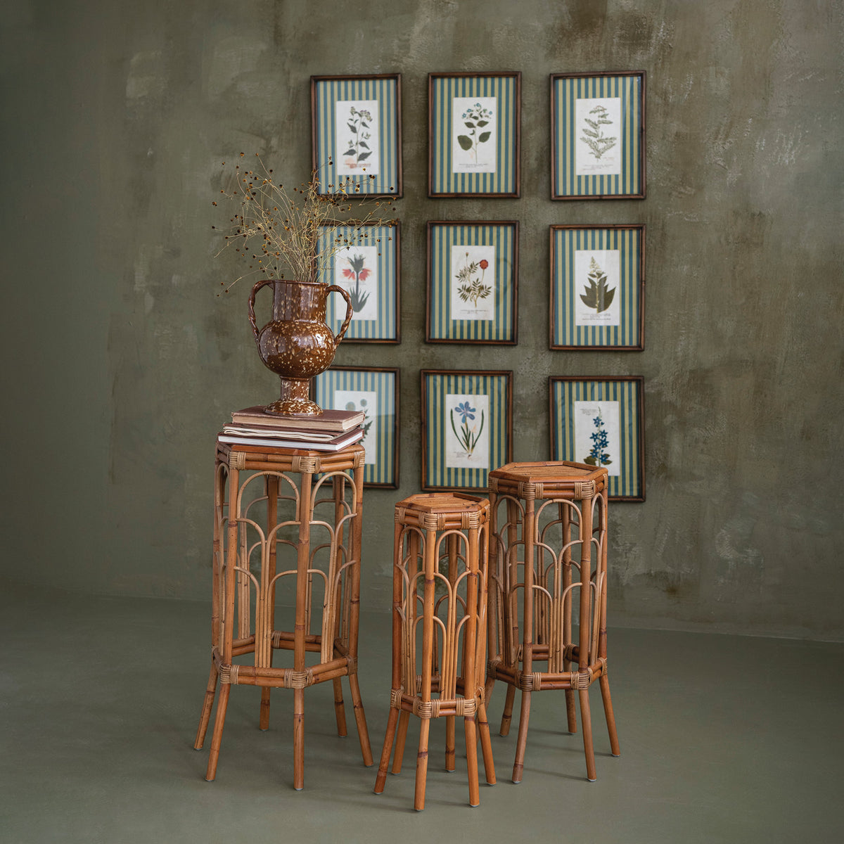 Vintage botanical framed wall art gallery with striped mats and wood frames
