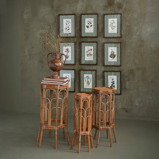 Vintage botanical framed wall art gallery with striped mats and wood frames
