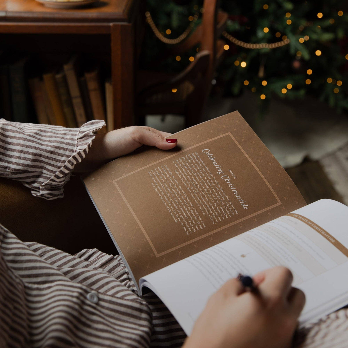 Joy of Every Longing Heart | 2026 Advent Bible Study | The Daily Grace Co.