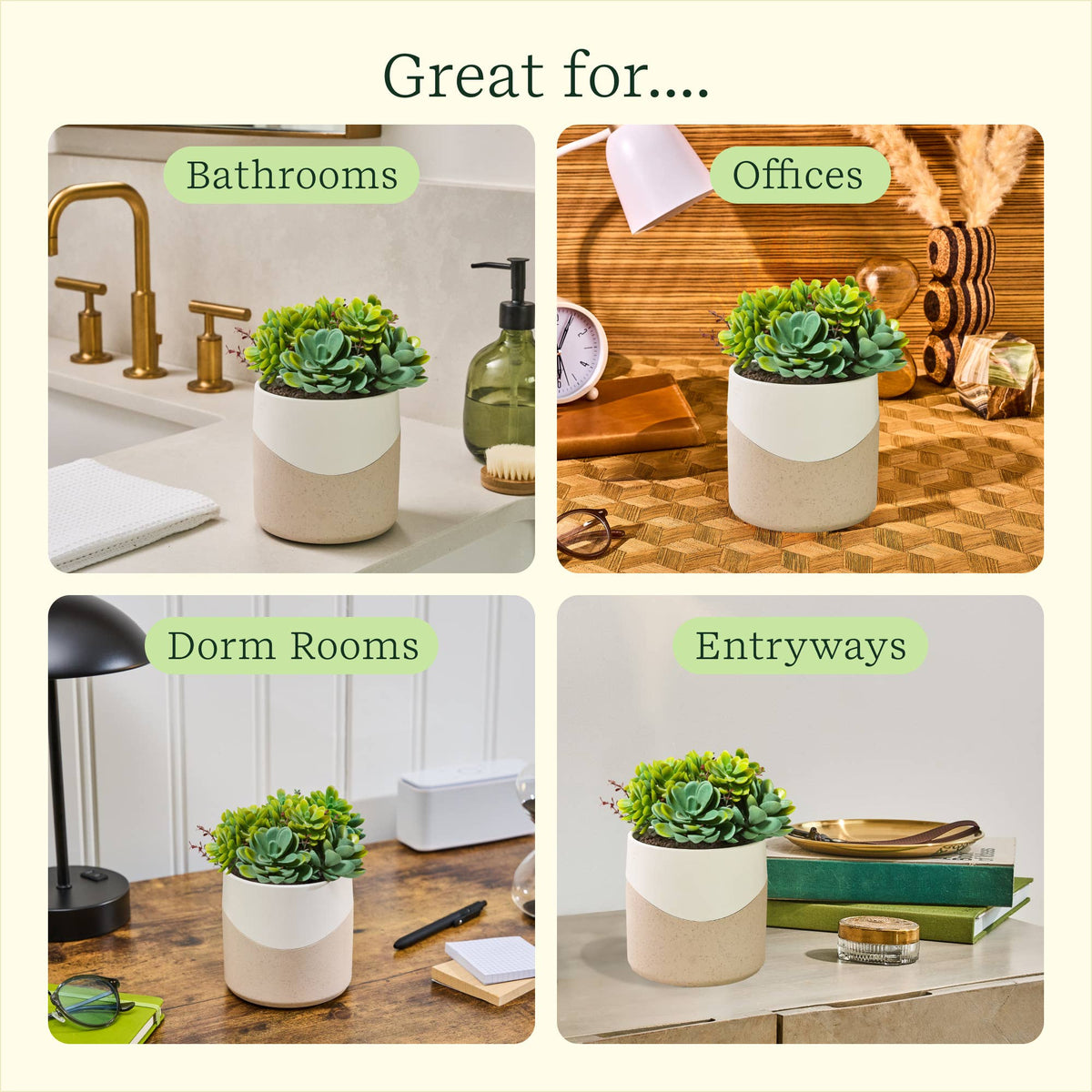 Lifelines ClickWick® Plant Diffuser | Faux Succulent Essential Oil Diffuser