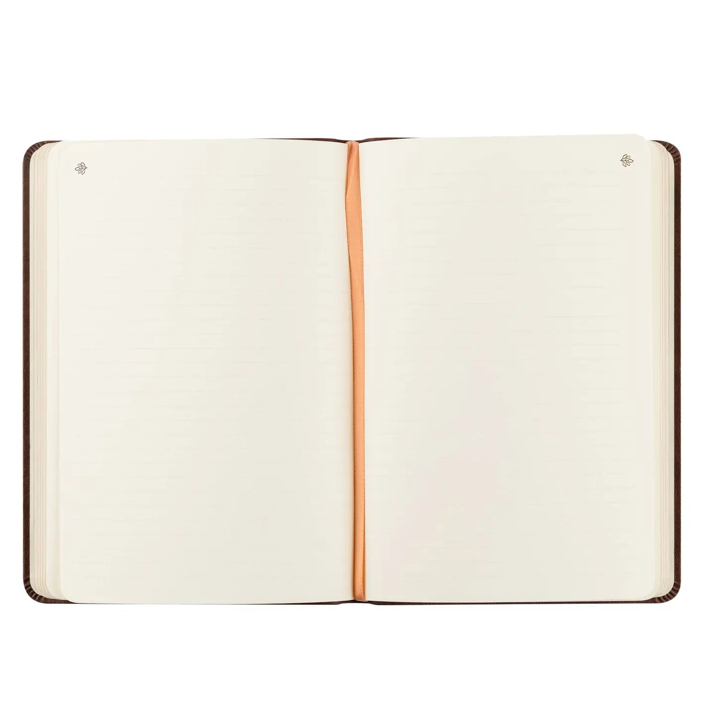 Palma Notebook