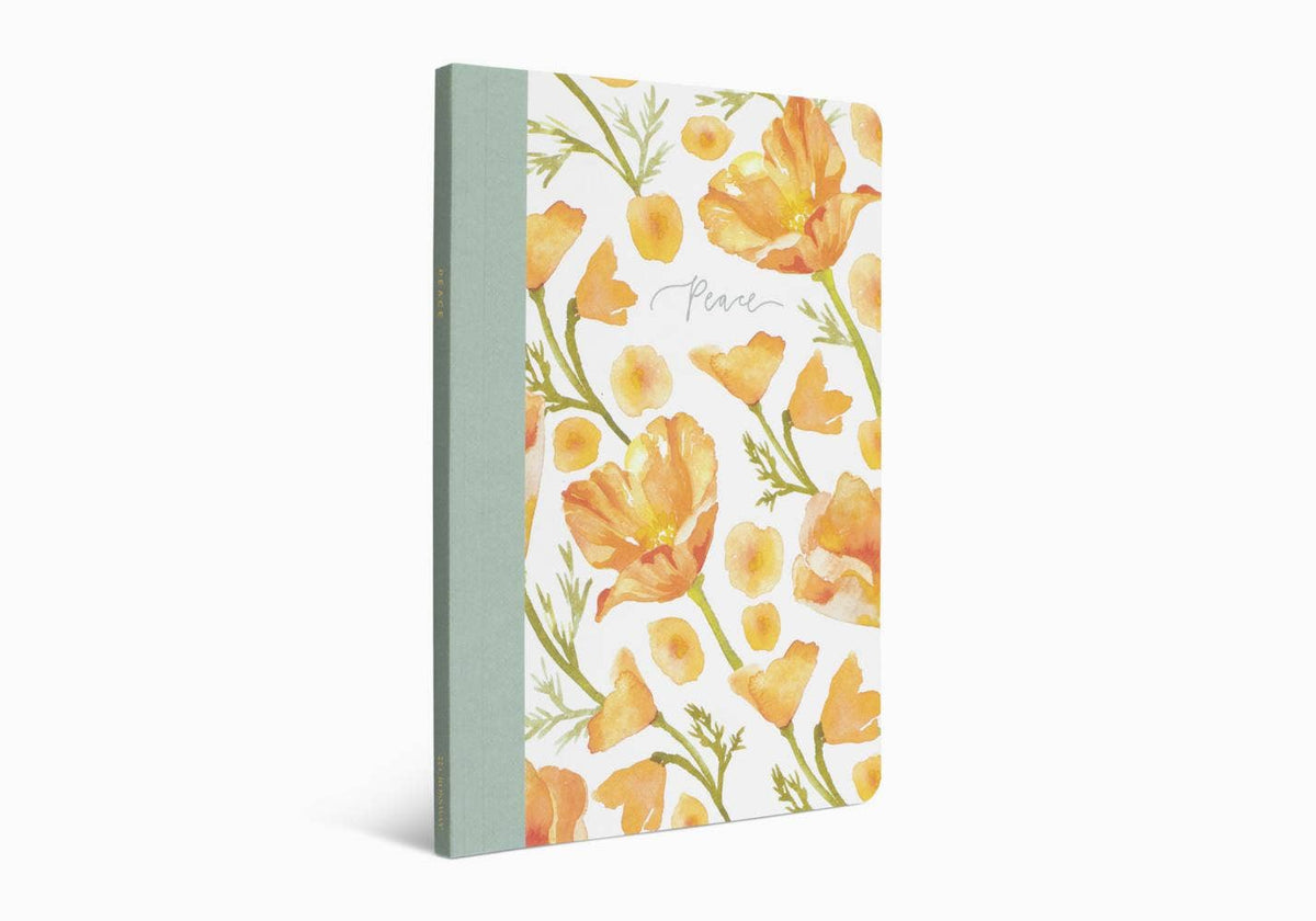 ESV Prayer Journal: 30 Days on Peace