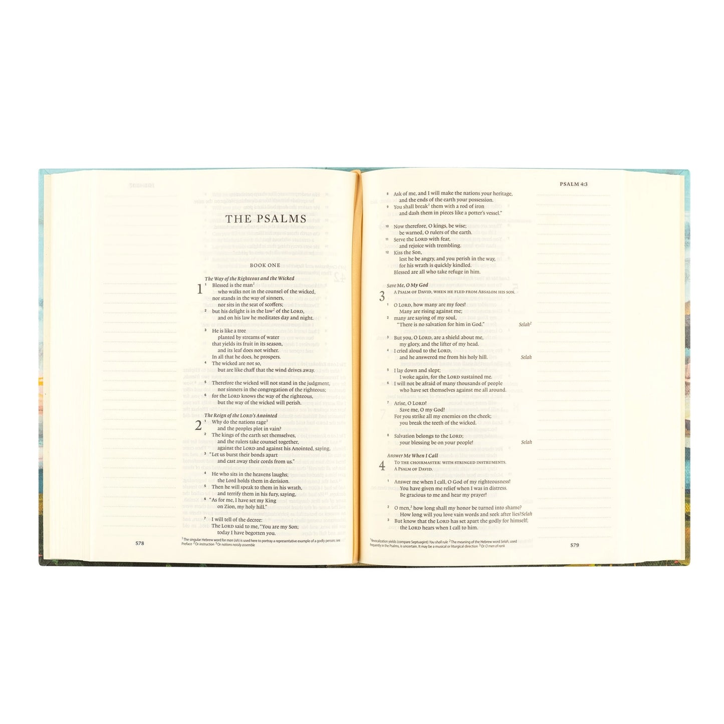 Esv Journaling Bible: Santa Lucia