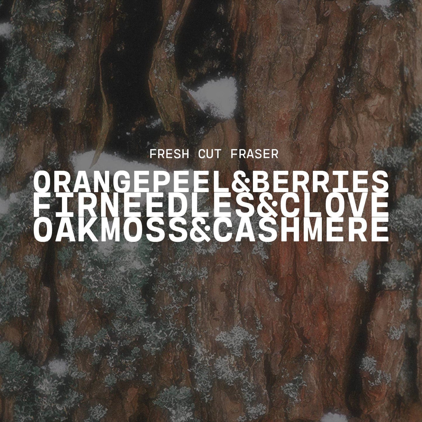 16 oz Butter Jar Candle: Fresh Cut Fraser