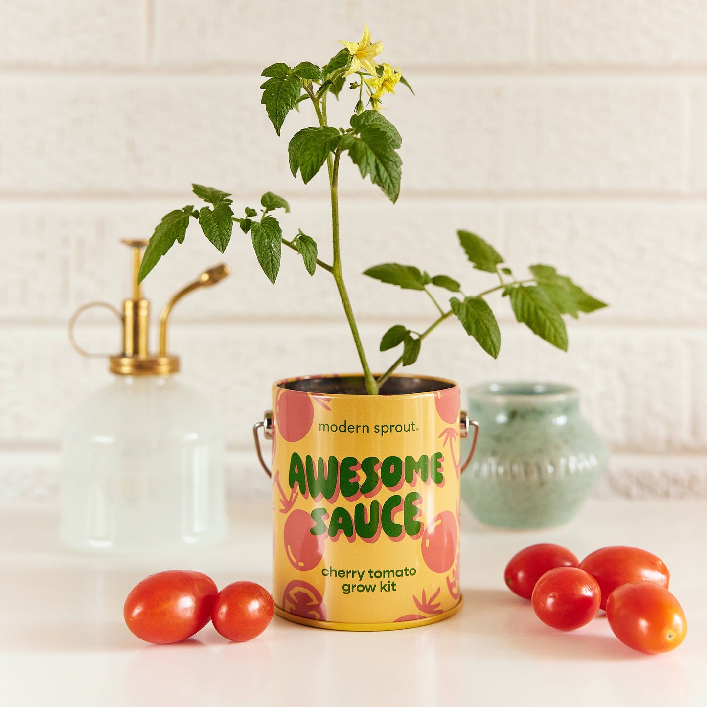 Rooted in Joy Grow Kits