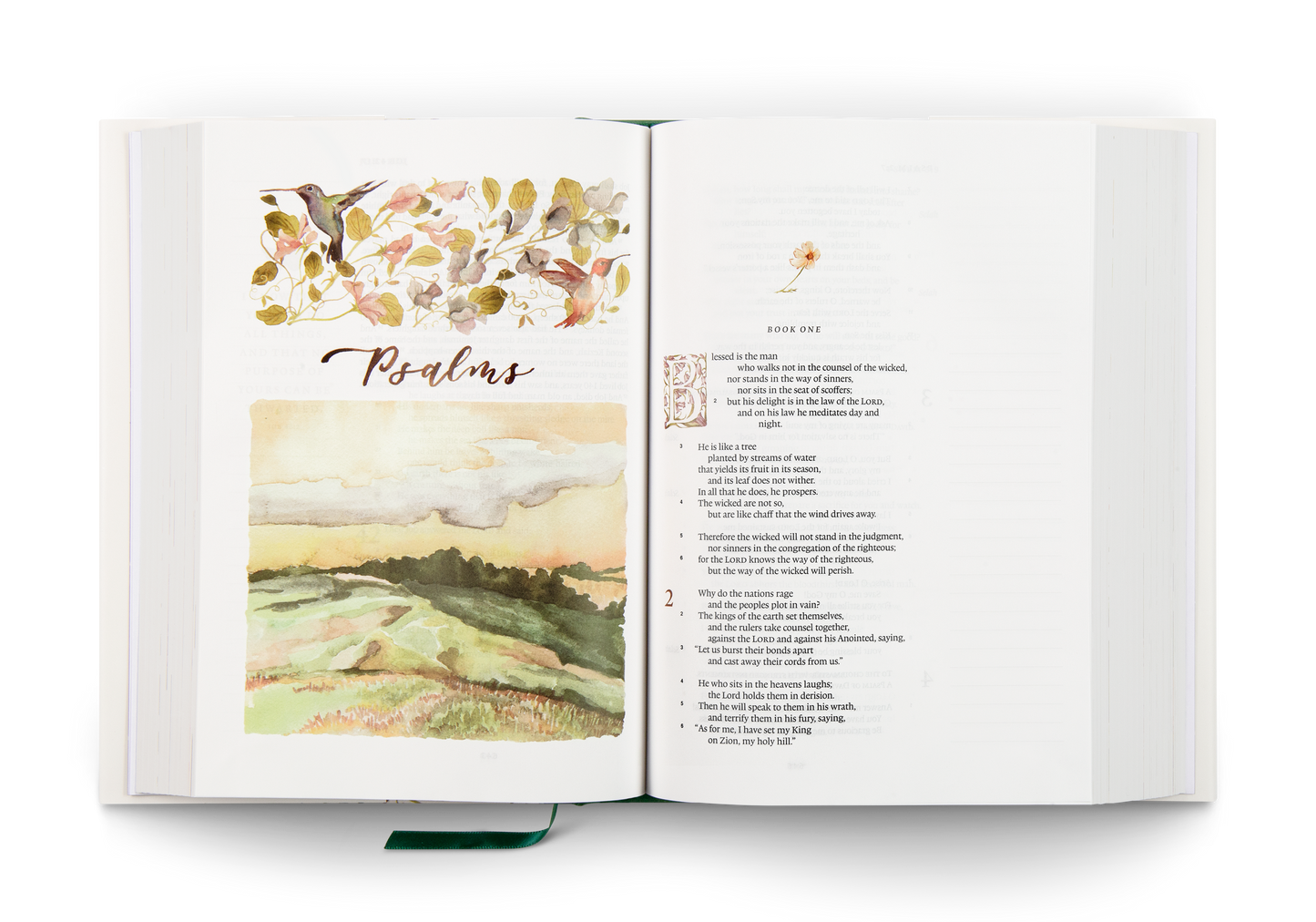 ESV Gracelaced Bible