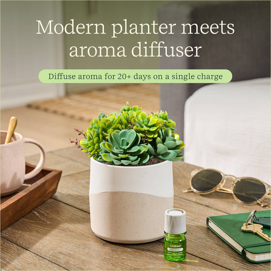 Lifelines ClickWick® Plant Diffuser | Faux Succulent Essential Oil Diffuser