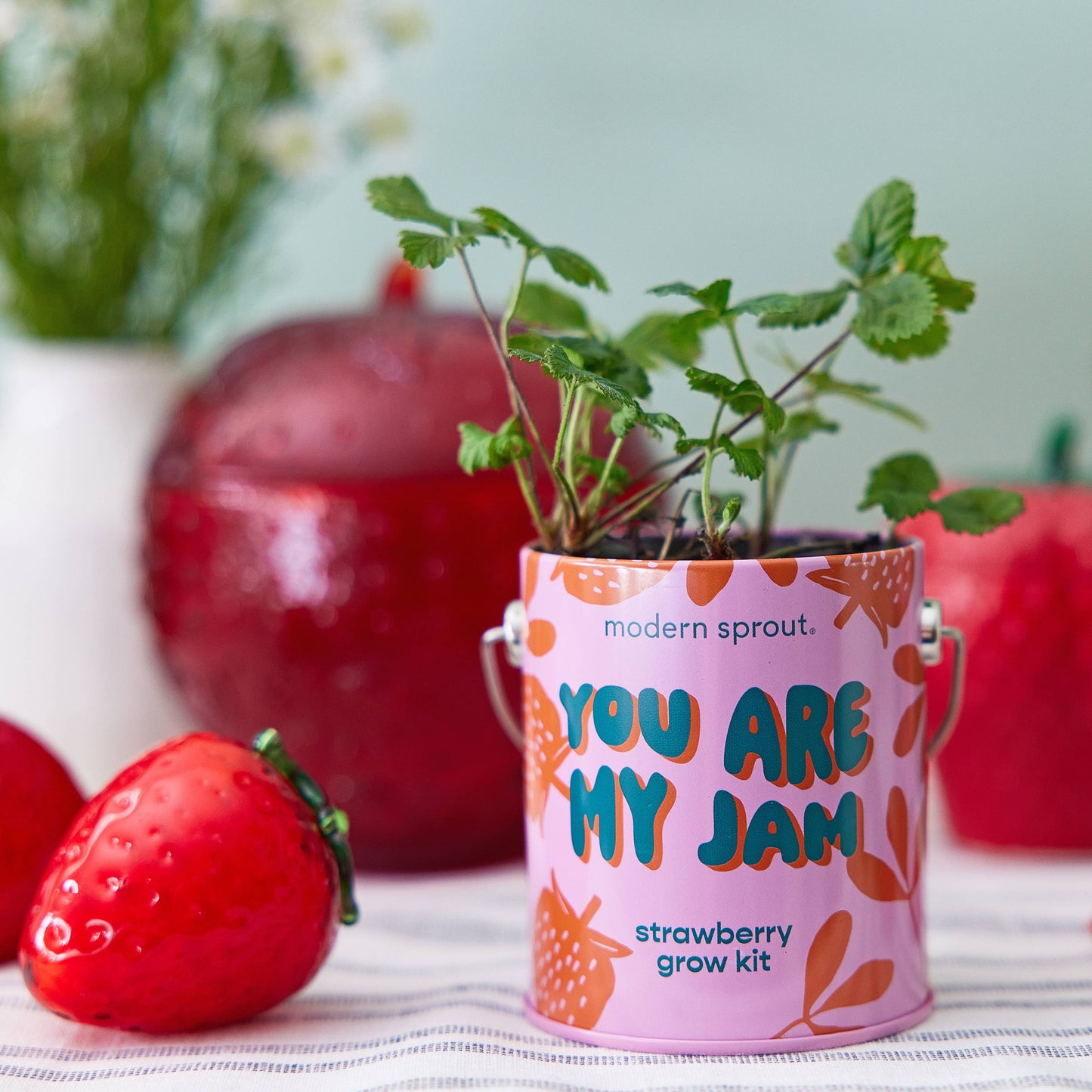 Rooted in Joy Grow Kits