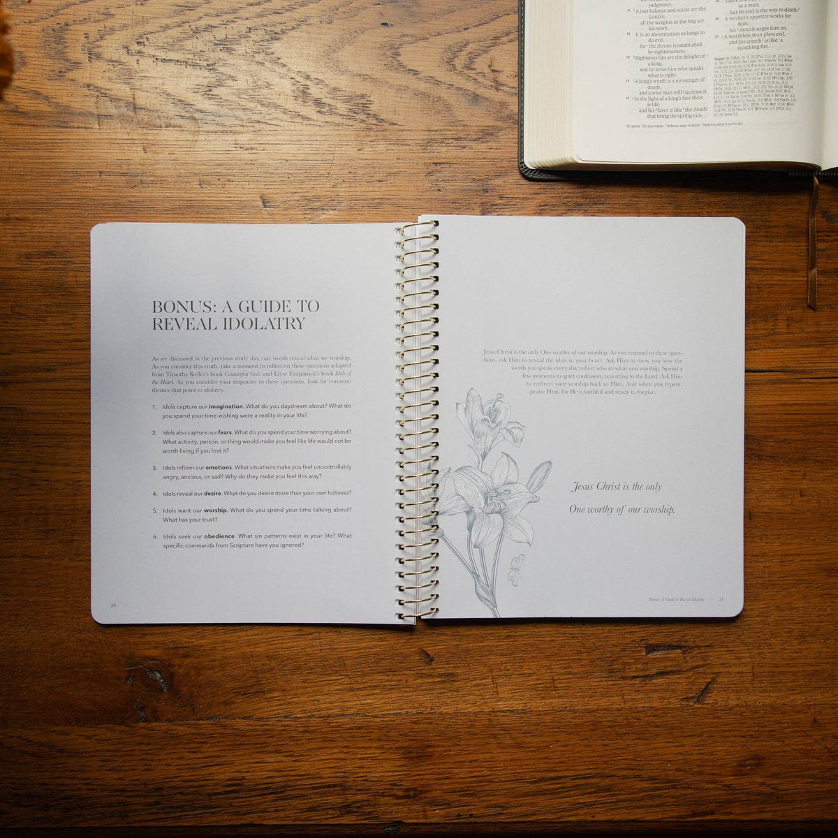 Sticks and Stones Bible Study | Healing from Hurtful Words | The Daily Grace Co.