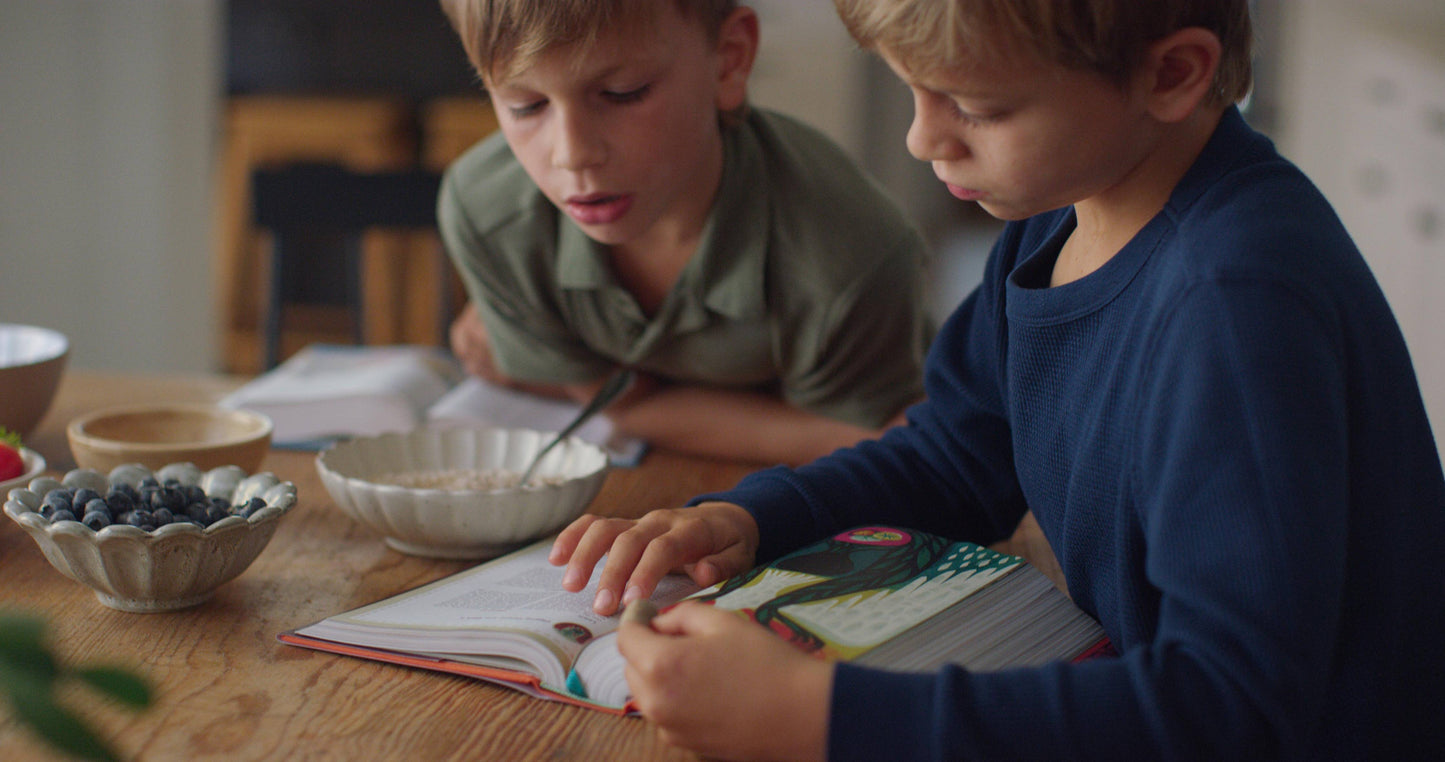 ESV The Biggest Story Holy Bible for Kids