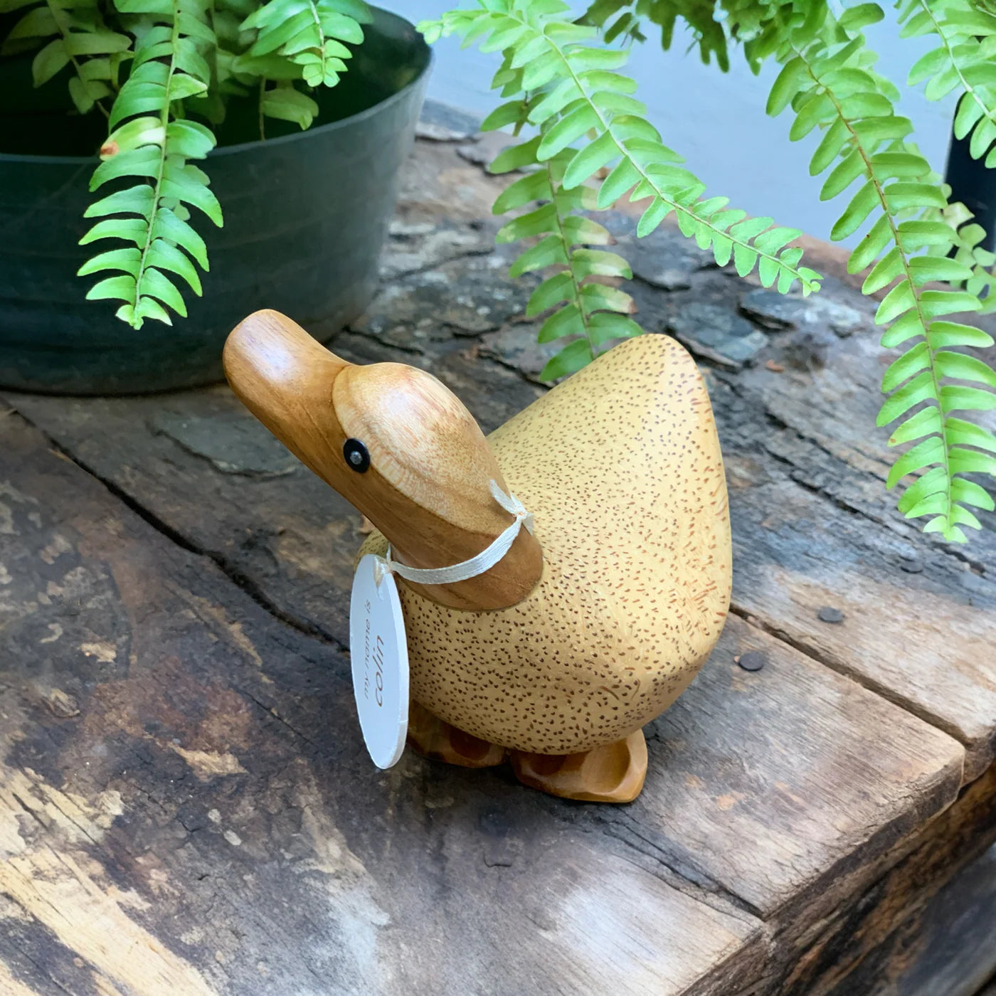 dcuk Natural Duckys